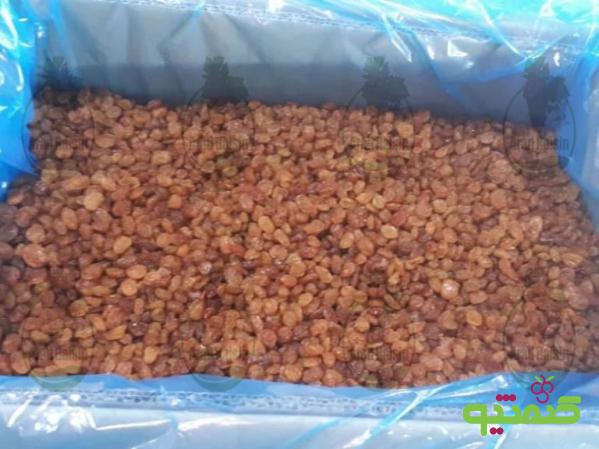 مزایای استفاده از کشمش پلویی