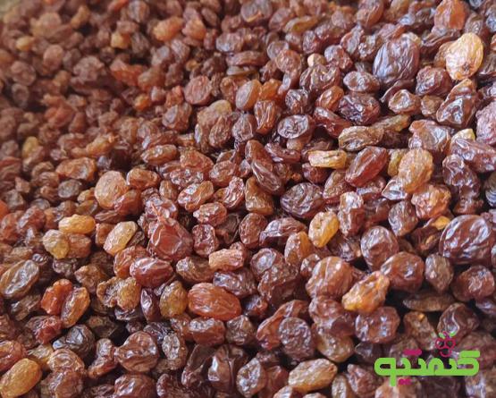 بازار فروش کشمش آفتابی صادراتی