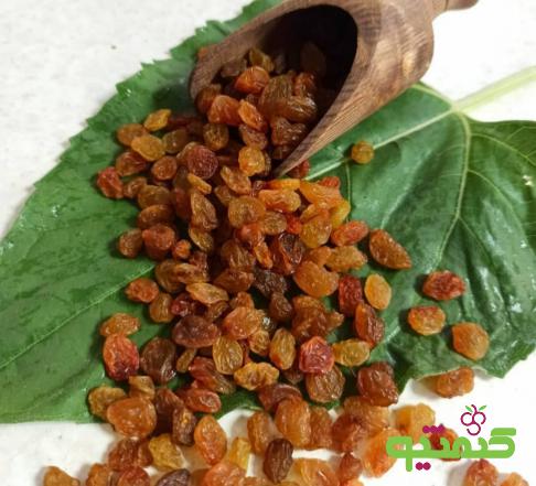 خاصیت انواع کشمش پلویی تازه