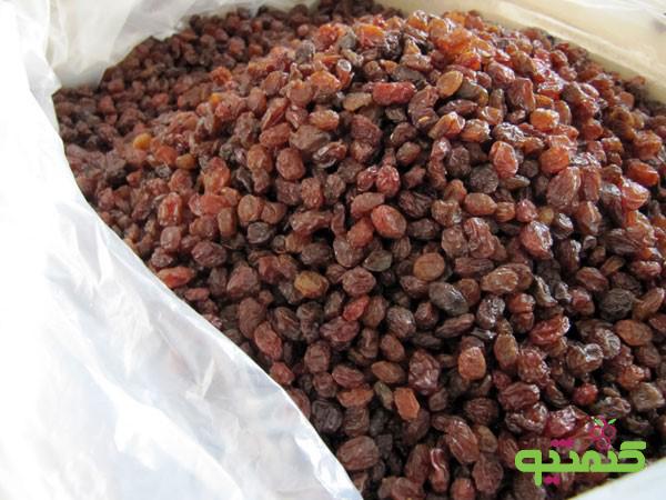 قیمت فروش کشمش مولوی