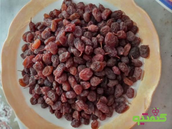 پخش‌ کننده کشمش آفتابی عمده