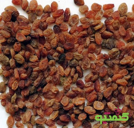 صادرات کشمش بیدانه ممتاز