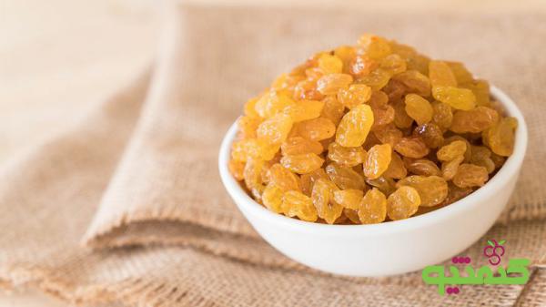 تولیدکنندگان کشمش صادراتی بناب