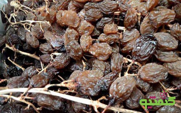 مراکز فروش کشمش آفتابی عمده