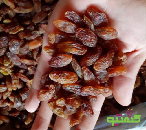 تامین کنندگان کشمش پلویی صادراتی