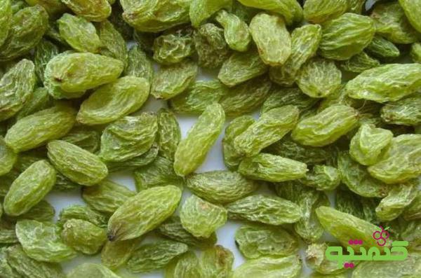 بازار خرید کشمش سبز عمده