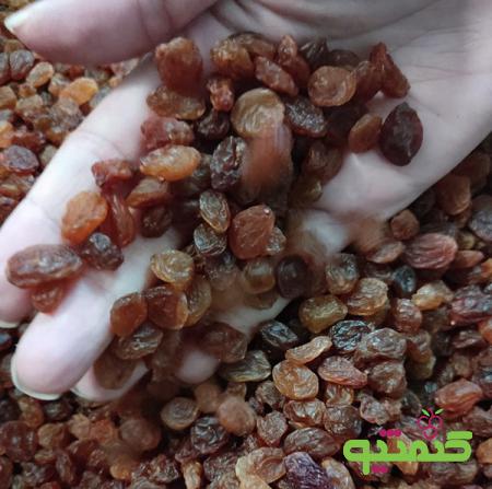 تامین کننده کشمش آفتابی پلویی