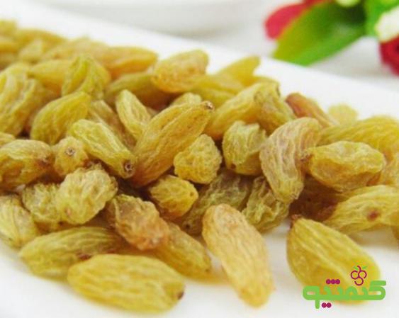 صادرات کشمش ممتاز صادراتی