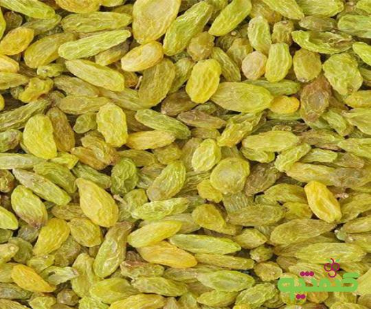 صادر کننده کشمش سبز قلمی 