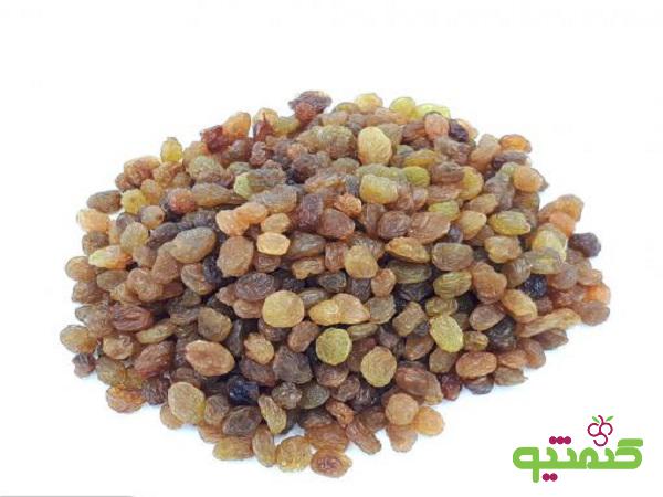 مرکز پخش کشمش مشهد