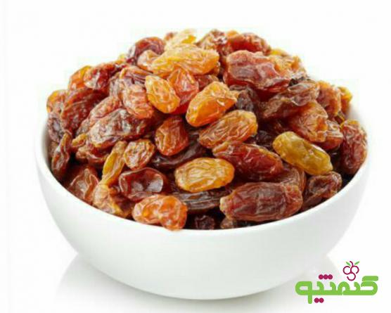 مرجع عرضه کشمش درجه یک تاکستان