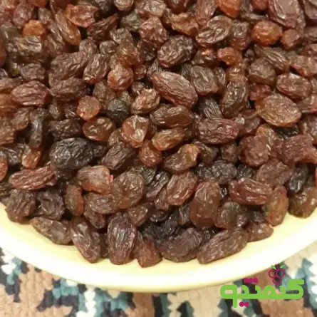 مرکز پخش کشمش کرج