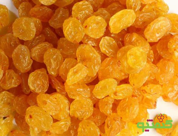 شرکت صادرات کشمش تیزابی