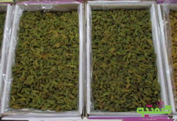 انواع بسته بندی کشمش در بازار