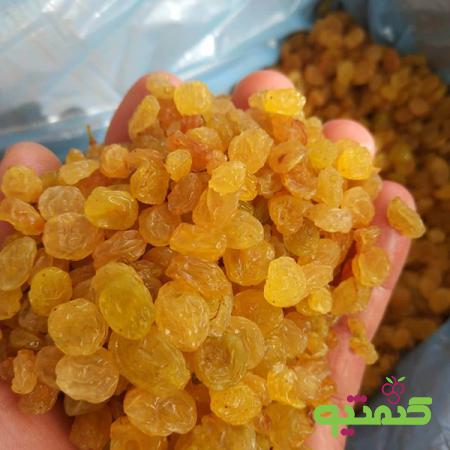 شرکت توزیع کشمش صادراتی