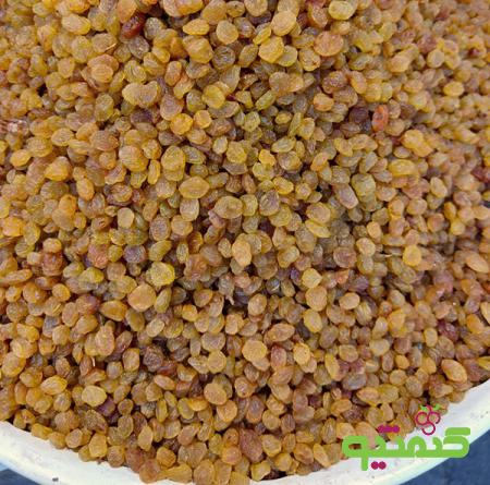 توزیع کشمش طلایی مرغوب