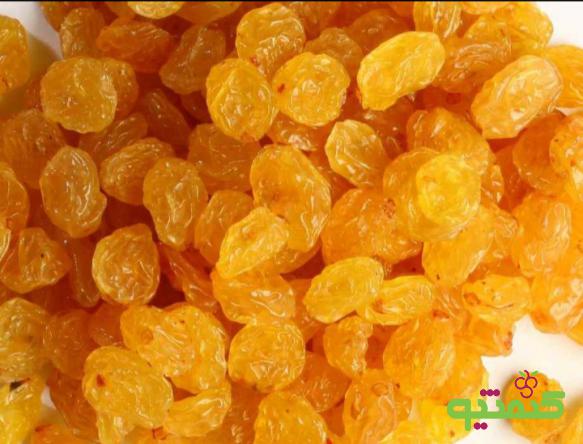 بازار پخش کشمش تیزابی قوچان