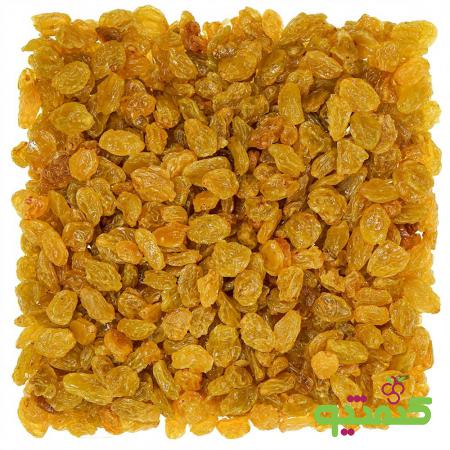 قیمت کشمش تیزابی طلایی