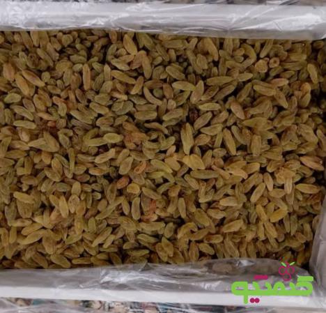 سفارش کلی کشمش سبز قلمی