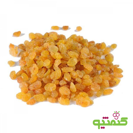 پخش مستقیم کشمش صادراتی اعلا