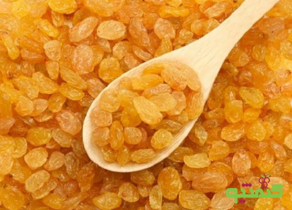 مراکز عرضه کشمش سایه خشک ملایر