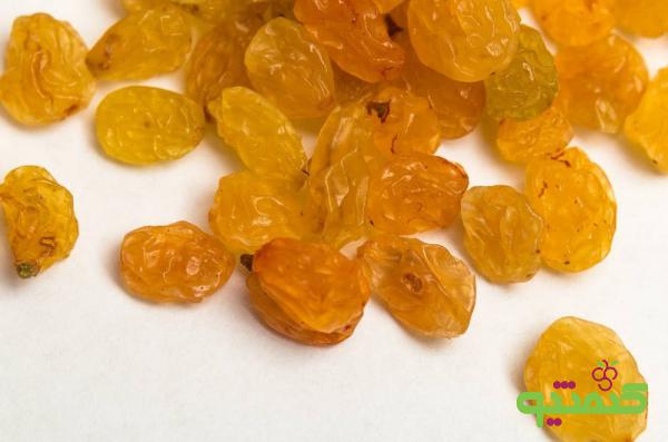 سفارش کلی کشمش طلایی صادراتی