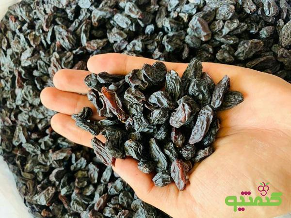 مرجع فروش کشمش مویز