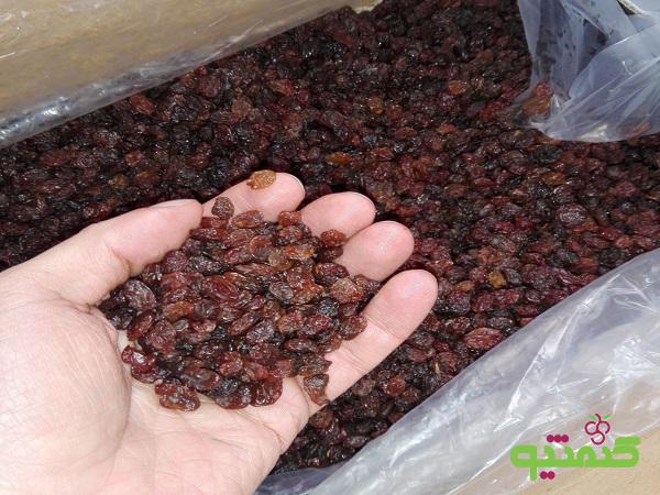 توزیع انواع کشمش یزدی