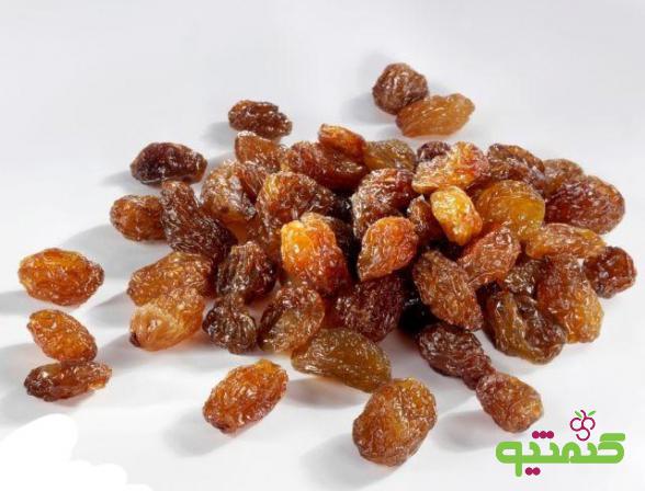 مرجع پخش کشمش طلایی