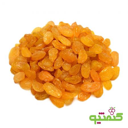 نکاتی برای نگهداری هر چه بهتر کشمش