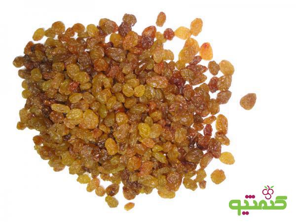 بازار فروش کشمش درجه 3