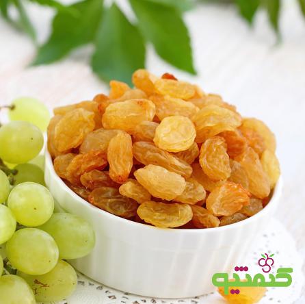 مرکز پخش کشمش صادراتی تاکستان