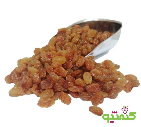 فروشنده کشمش پلویی سایه خشک