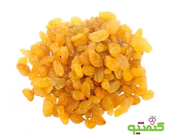 مرجع پخش کشمش طلایی