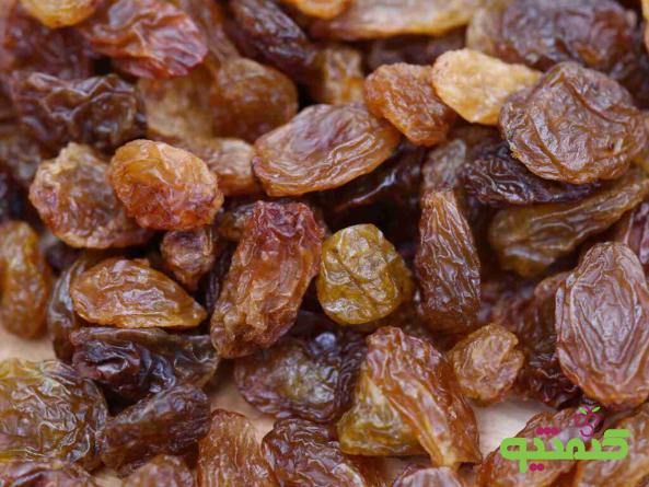 مرجع عرضه کشمش ارگانیک