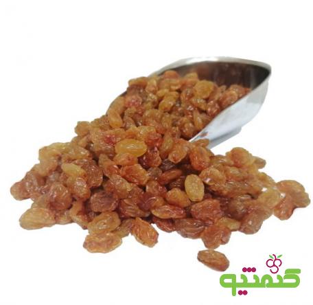 پخش کشمش تیزابی کاشمر