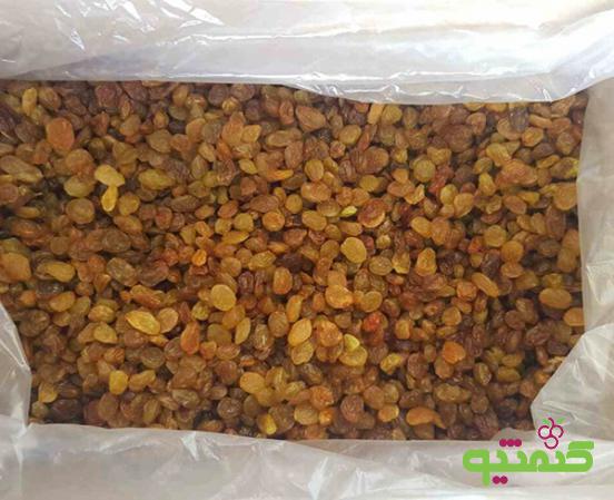 مراکز فروش کشمش فله ای