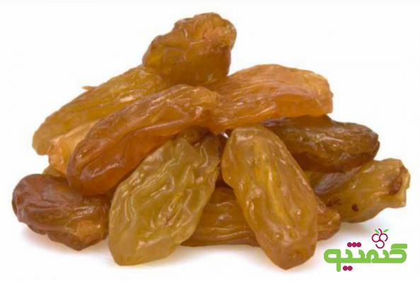 عرضه کنندگان کشمش زرد درجه یک