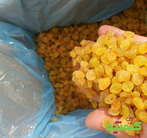 بازار عرضه کشمش فرد اعلا