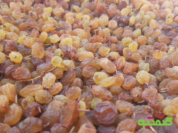 بررسی کلی خواص درمانی کشمش