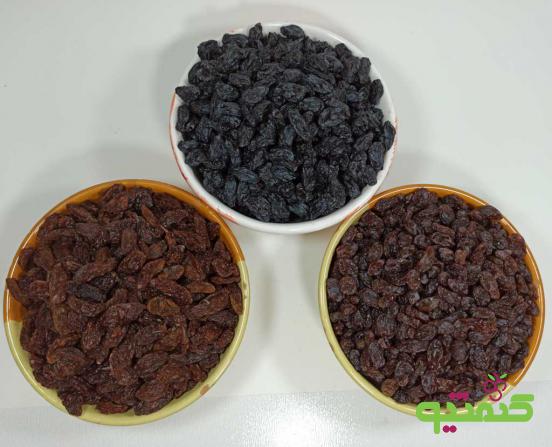 فرق مویز و کشمش در چیست 