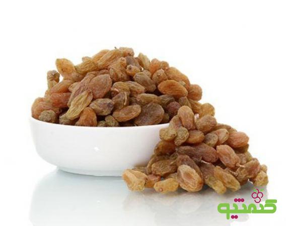 نحوه نگهداری از کشمش پلویی