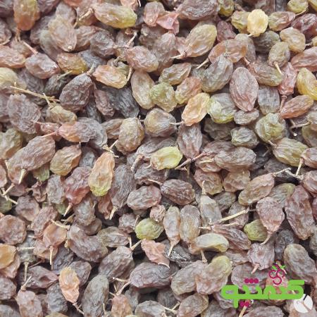 مرکز عرضه کشمش سایه خشک